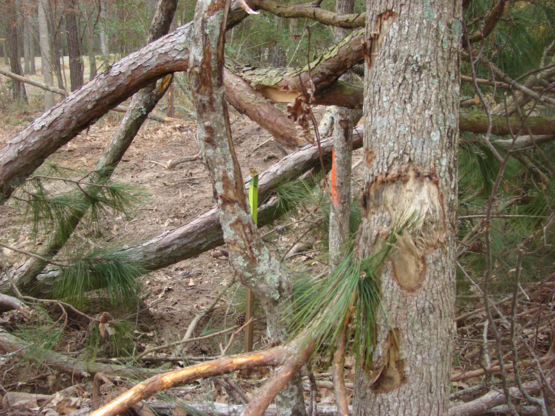 DSC02045