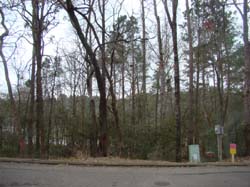 DSC02017