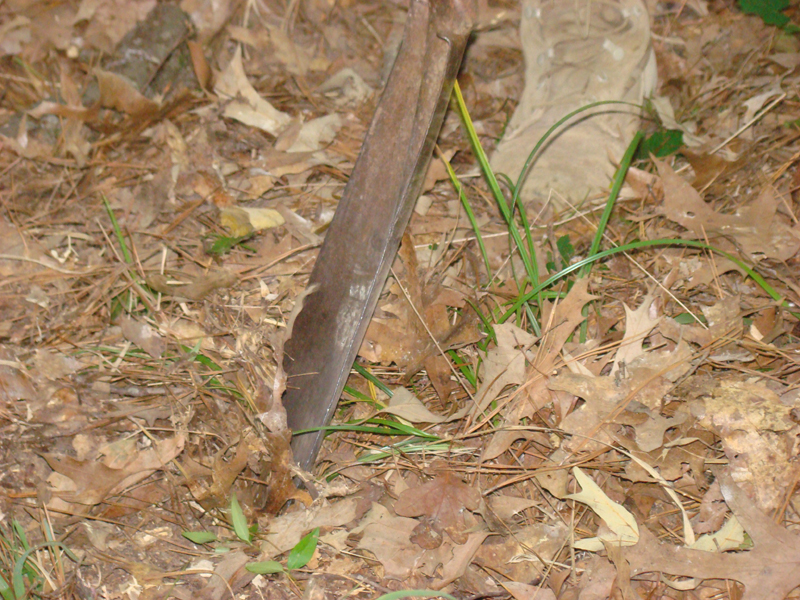 DSC03997