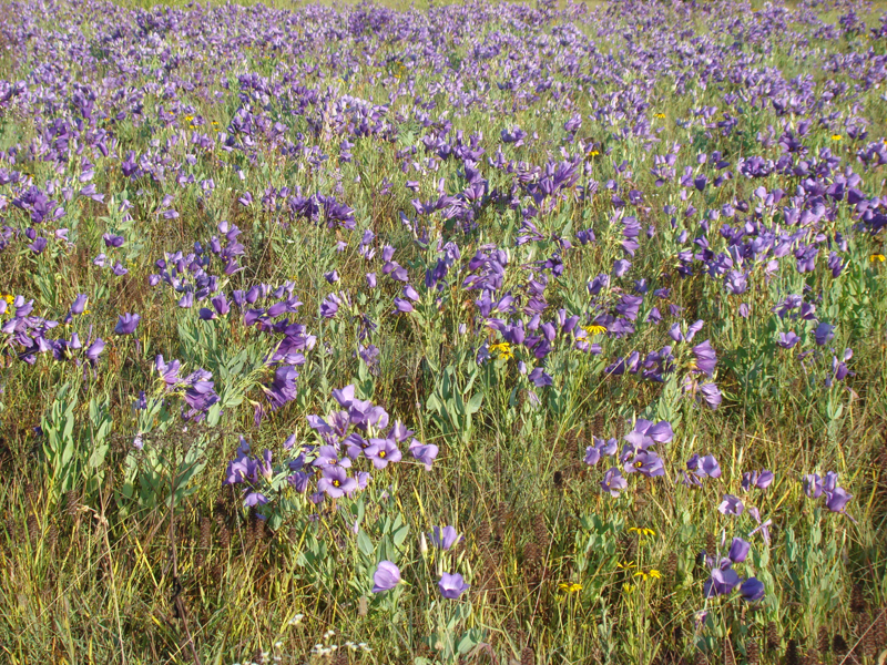 DSC04005
