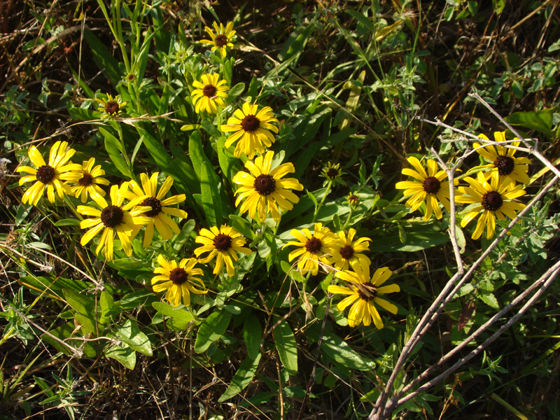 DSC04007