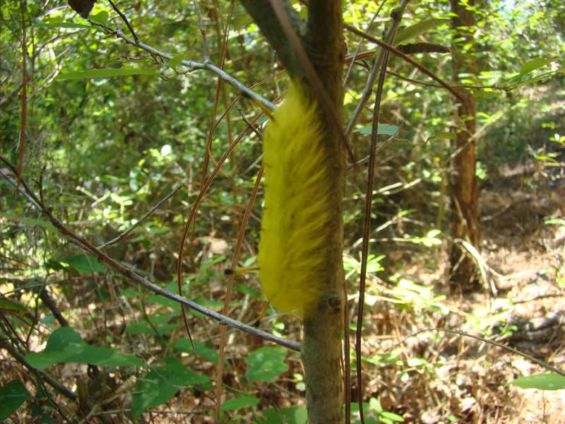 DSC04025