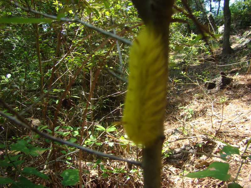 DSC04026