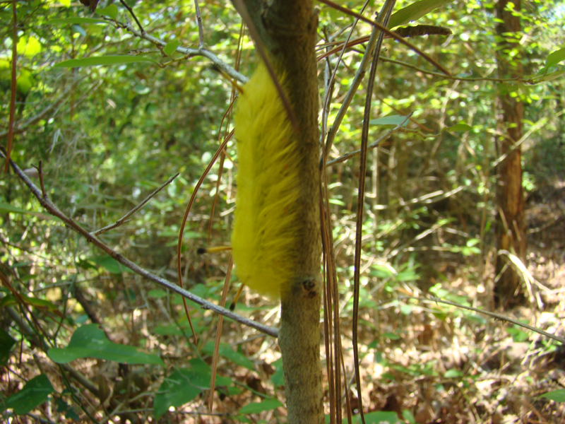 DSC04027