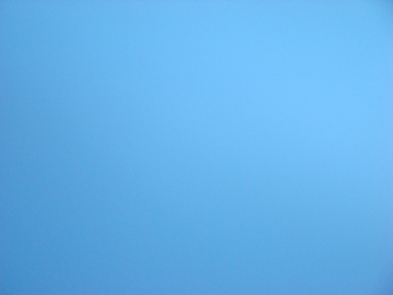 DSC04208