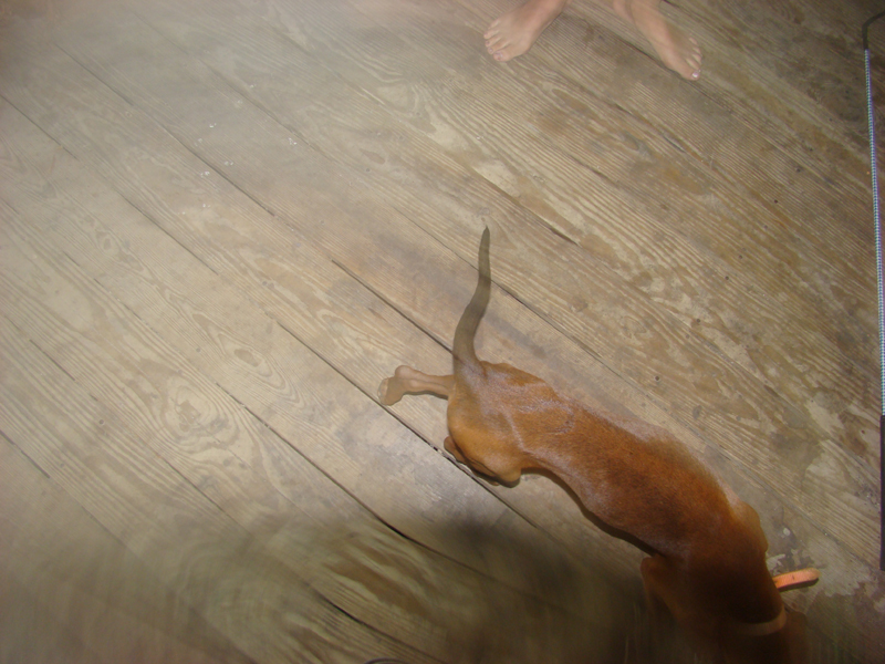 DSC04275