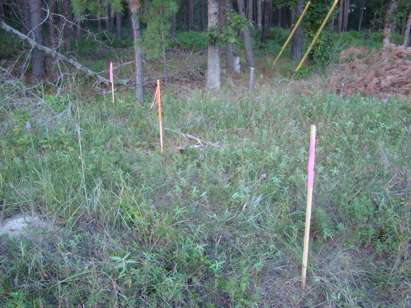 DSC04307