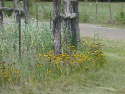 DSC04295