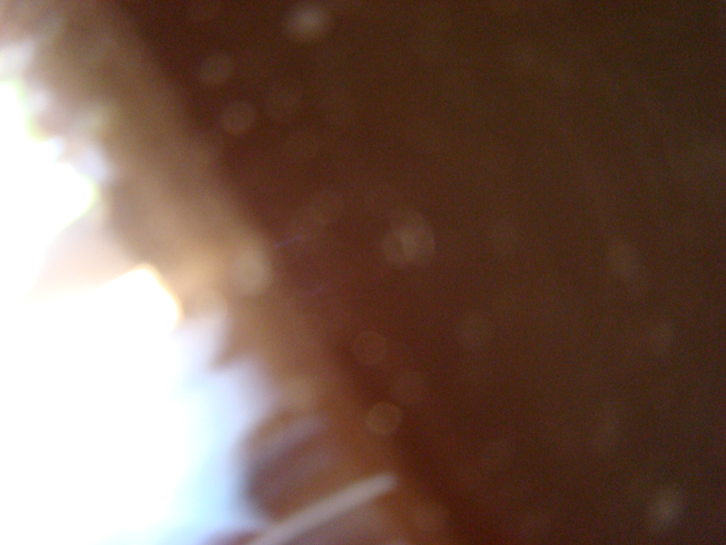 DSC03780