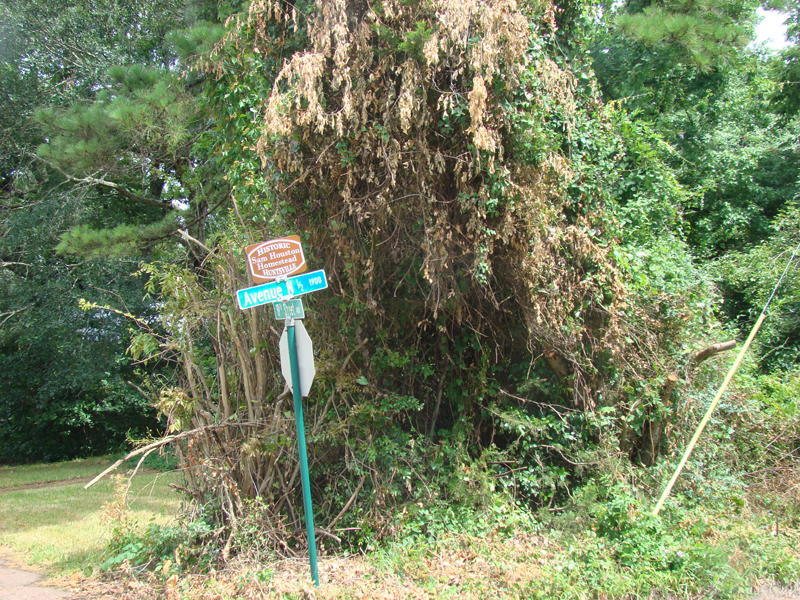 DSC03886