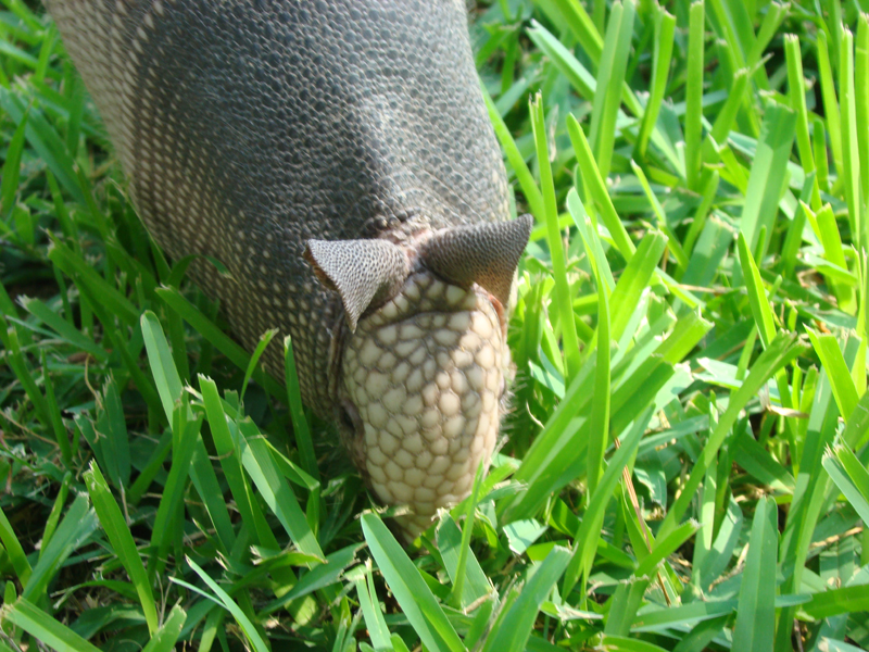 DSC03904