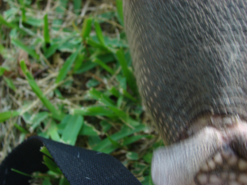 DSC03905
