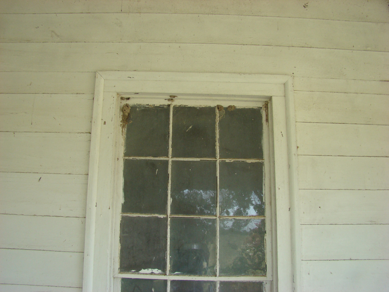 DSC03953