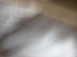 DSC03665