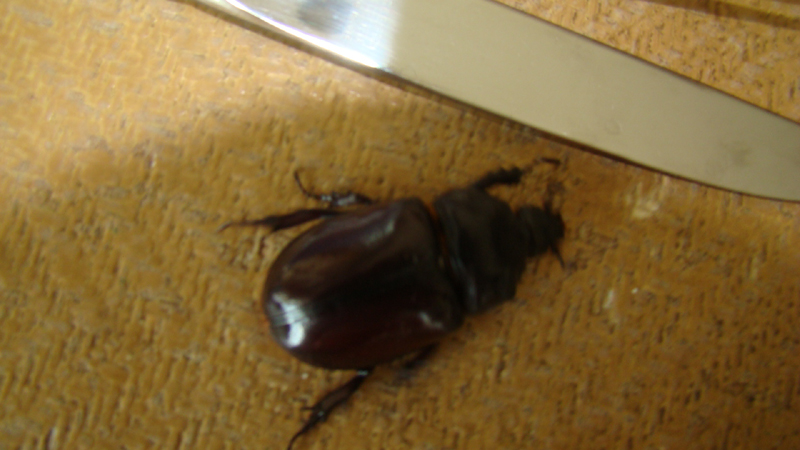 DSC01480