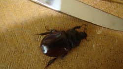 DSC01480