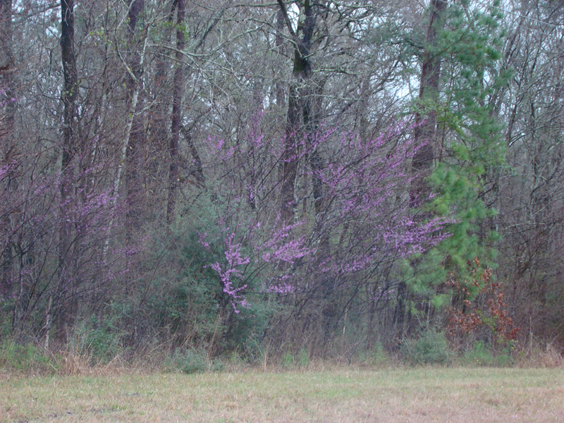 DSC02458