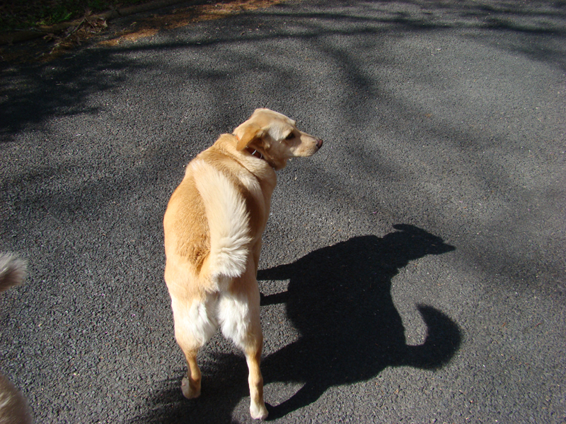 DSC02926