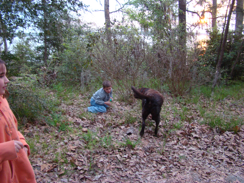 DSC03001