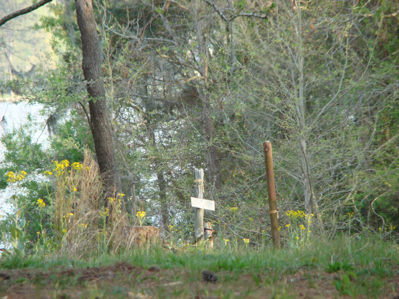 DSC03041