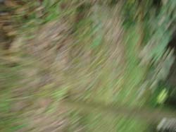DSC03336