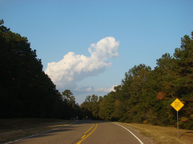 DSC07019
