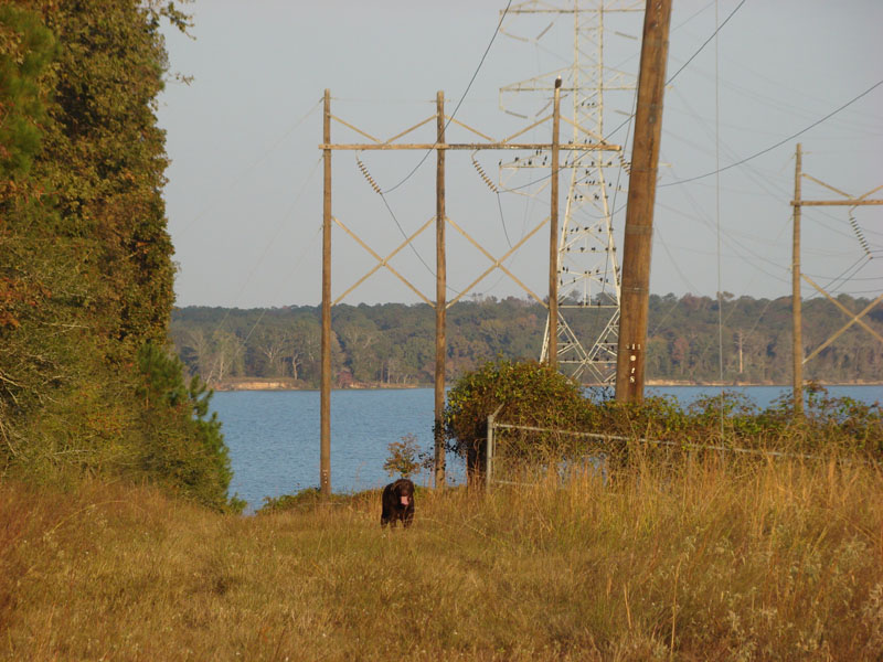 DSC07024