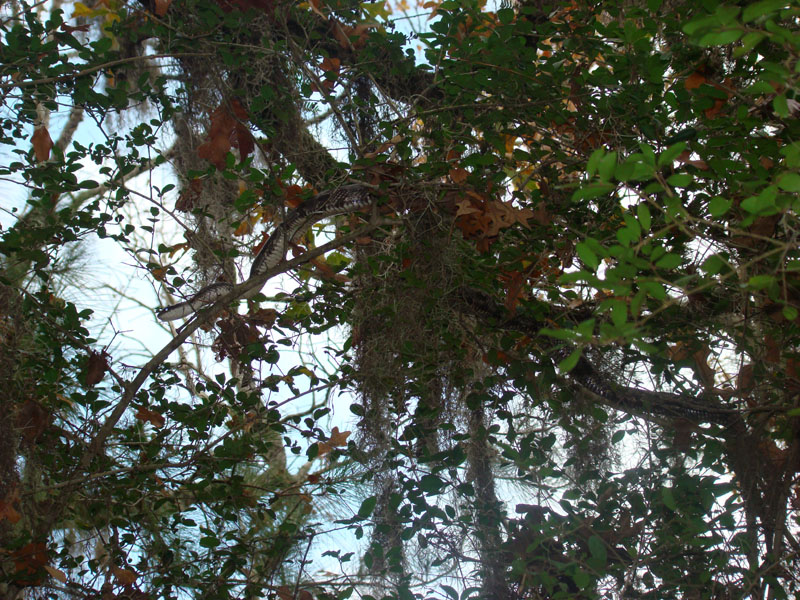 DSC07278