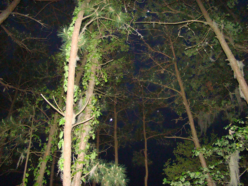 DSC08705