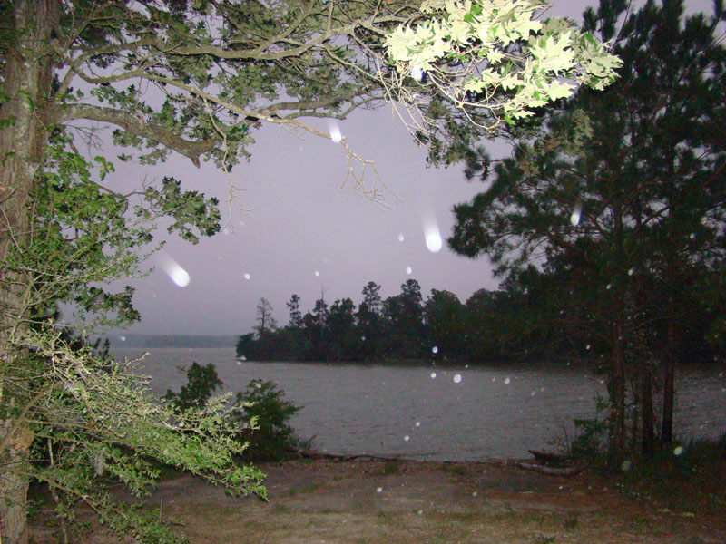 DSC08713
