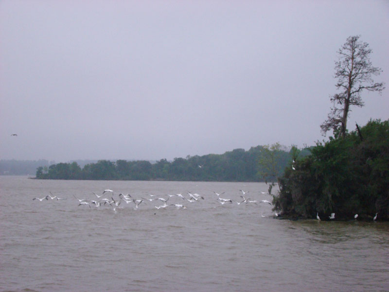 DSC08724