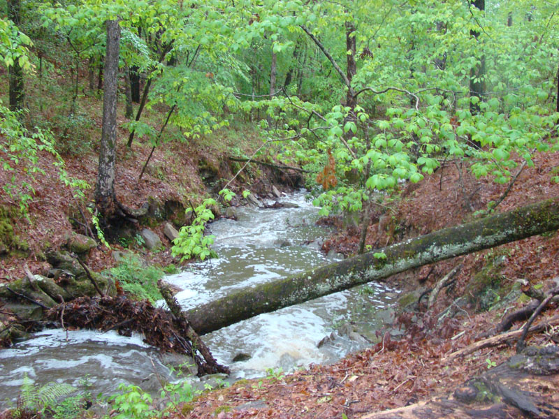 DSC08780
