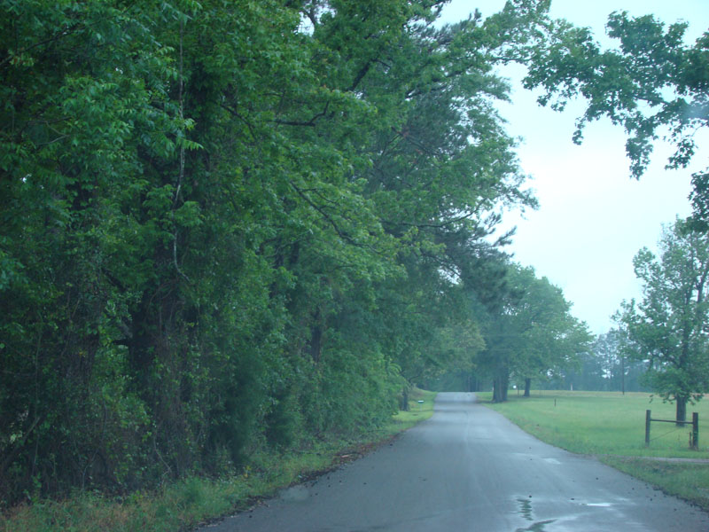 DSC08916
