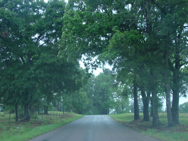 DSC08917
