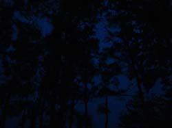 DSC08704