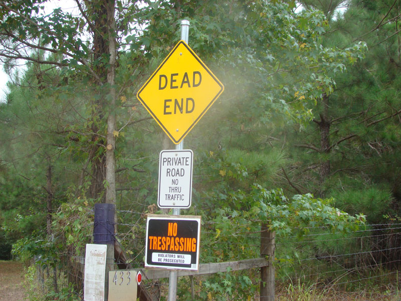 DSC00006
