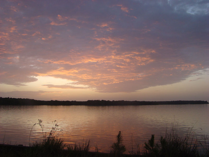 DSC00014