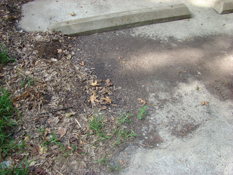 DSC00022