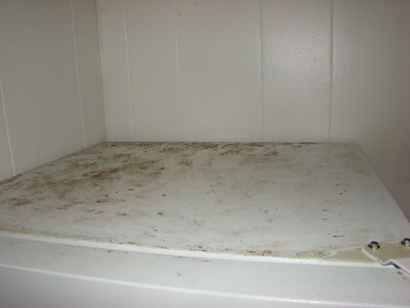 DSC00024