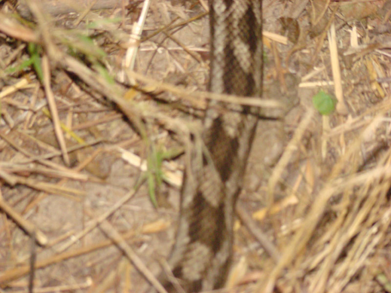 DSC00033