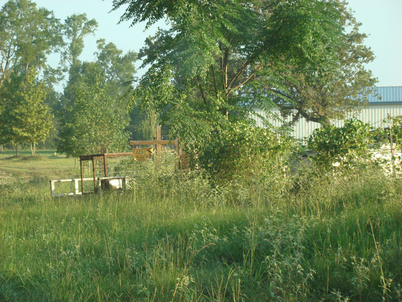 DSC00310