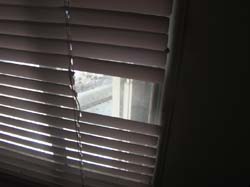 DSC00025