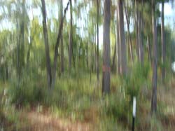 DSC00052