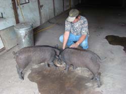 DSC00294