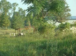 DSC00310