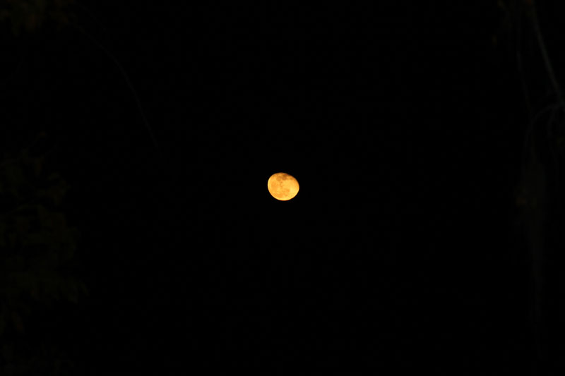 IMG_1005