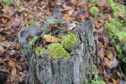 IMG_1057