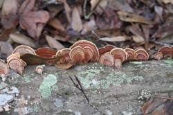 IMG_1205