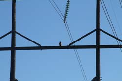 IMG_1460