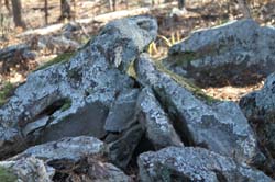 IMG_1470